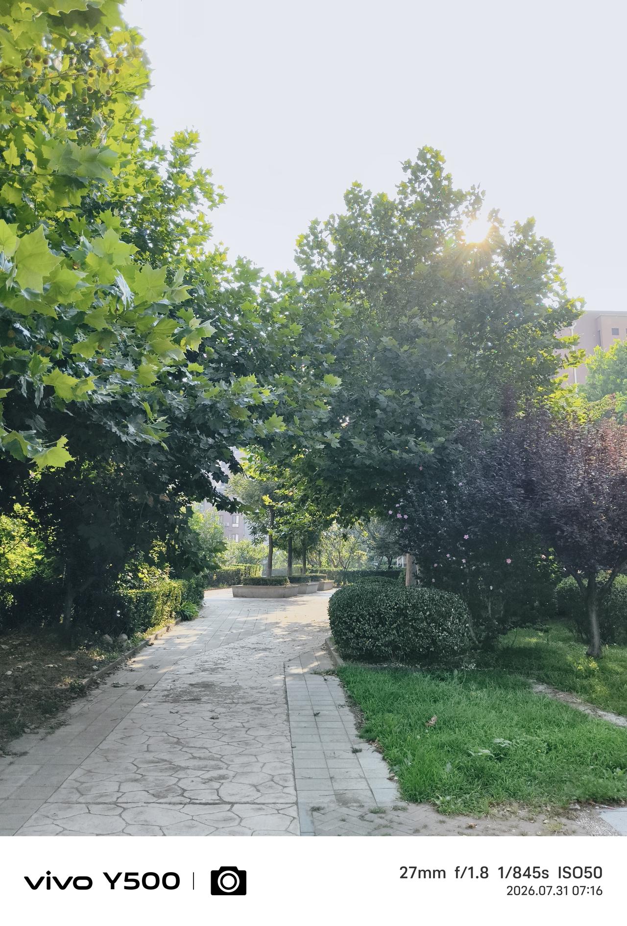 秋燕走的是长亭古道
秋蝉说的是离人断肠
秋水
似曾隐约离帆的倒影
夜半
是醉却醒