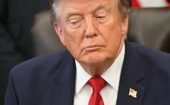 一个国家能蠢到什么程度？看看法国就明白了。现在法国黑人接近800万，占总人口15