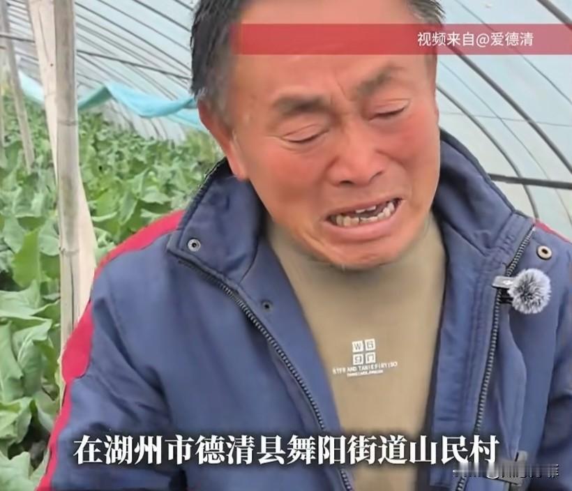 泪目了！浙江，一菜农大叔29岁的儿子突发心梗离世，家里上万斤蔬菜滞销，大叔急得直
