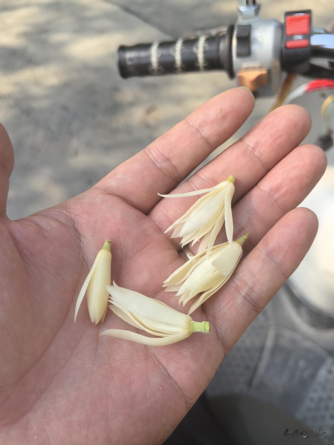 收拾不了特朗普，收拾你还是可以的。
房子你觉得贵，不想买，可以。
车子你觉得没必