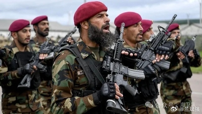 【全球最恐怖国家“榜首”，巴基斯坦凭什么背这口黑锅？】2025年全球恐怖主义指数