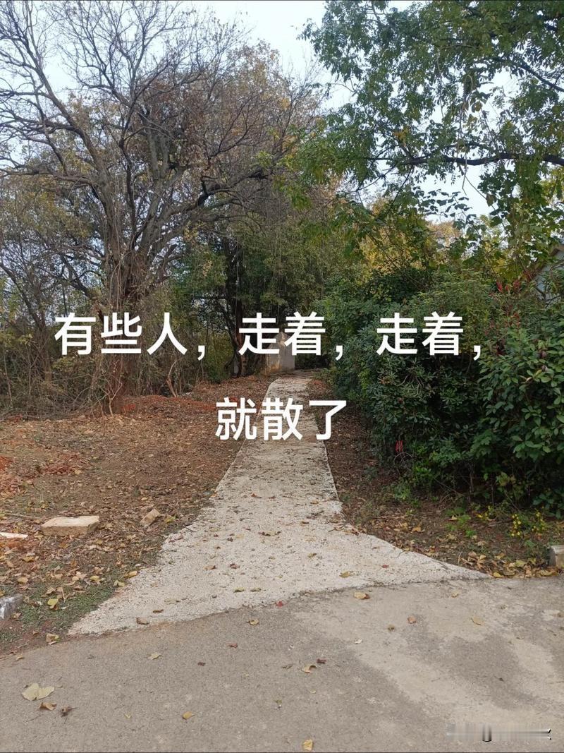 那条回不去的路~

时光是一条单向流动的河，
我们皆是渡河之人。
回首望去，身后