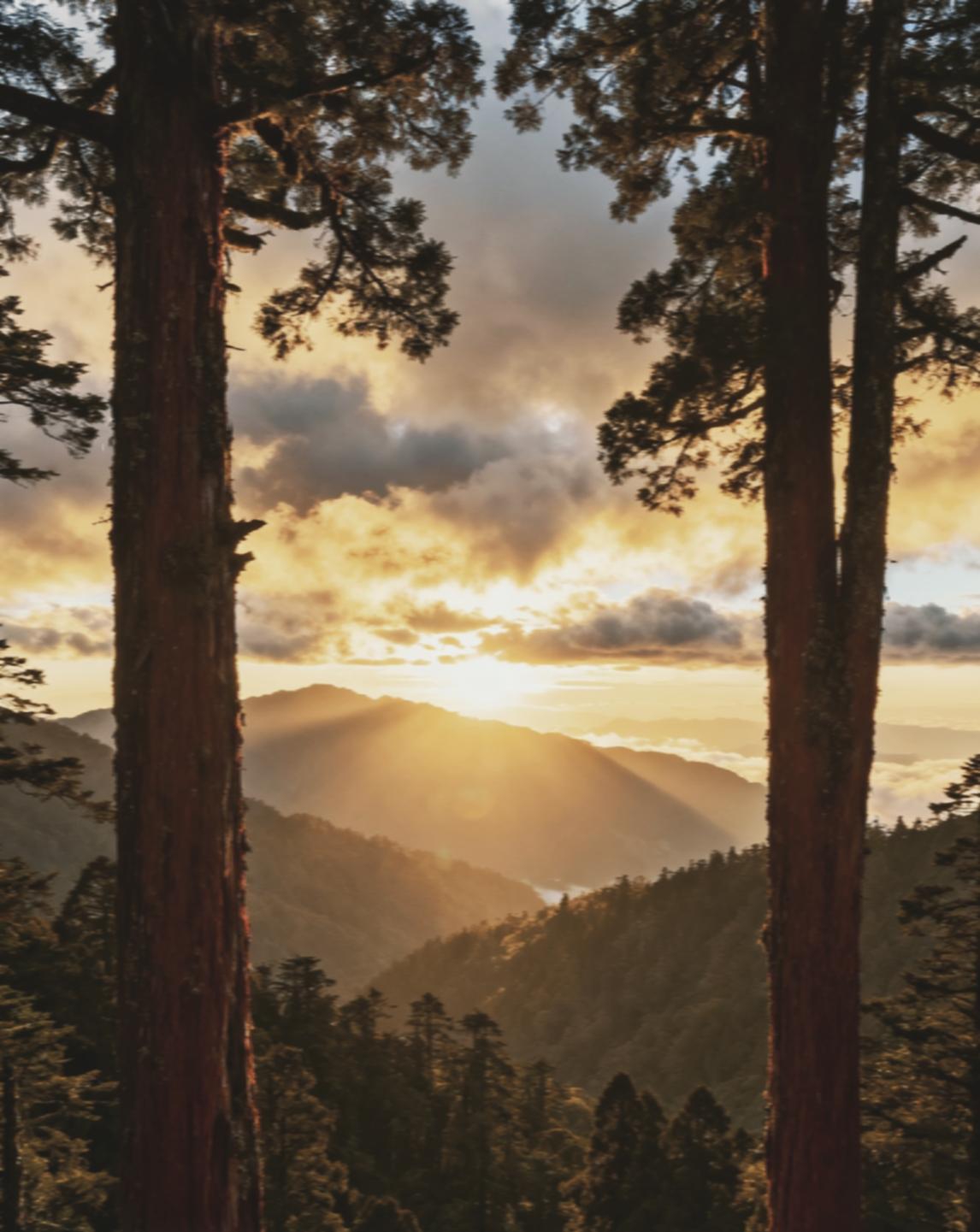 外力挑衅当潮流，内部摇摆正上头：清醒者早已看穿这场博弈的本质
 
“外力挑衅当潮