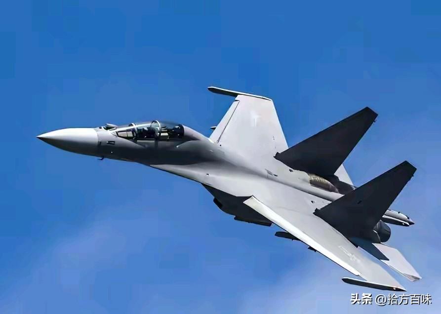 既然中国侧卫系列战机与俄罗斯的侧卫系列各有千秋，那为什么两家不能携手研发一款多用