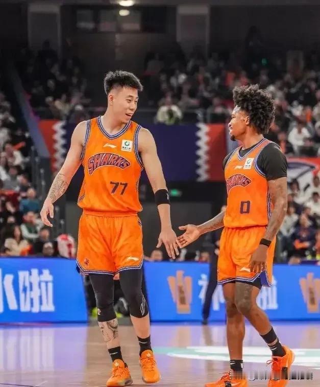 不得不说辽宁队和杨鸣都太明智了！
看了昨天上海队和浙江稠州队的比赛，其中张镇麟上