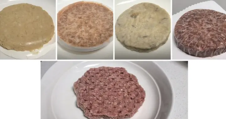 “植物肉”能当真肉吃吗？行业路向何方？四款产品测评