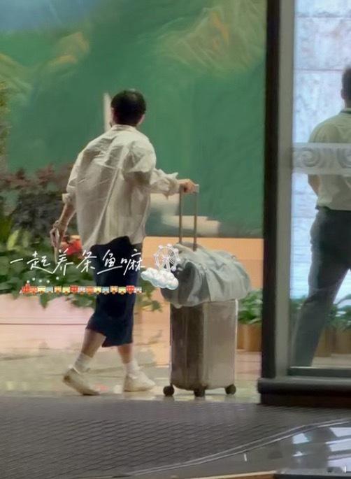 出发美满的莎莎