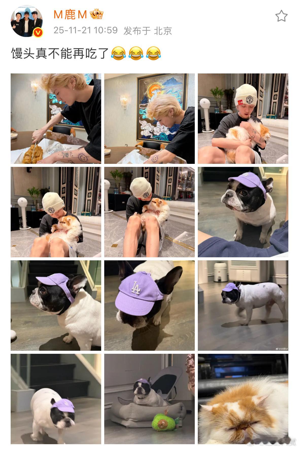 鹿晗微博更新营业，完全男友视角，好鲜活的日常氛围，这组图里的萌物我都笑纳了