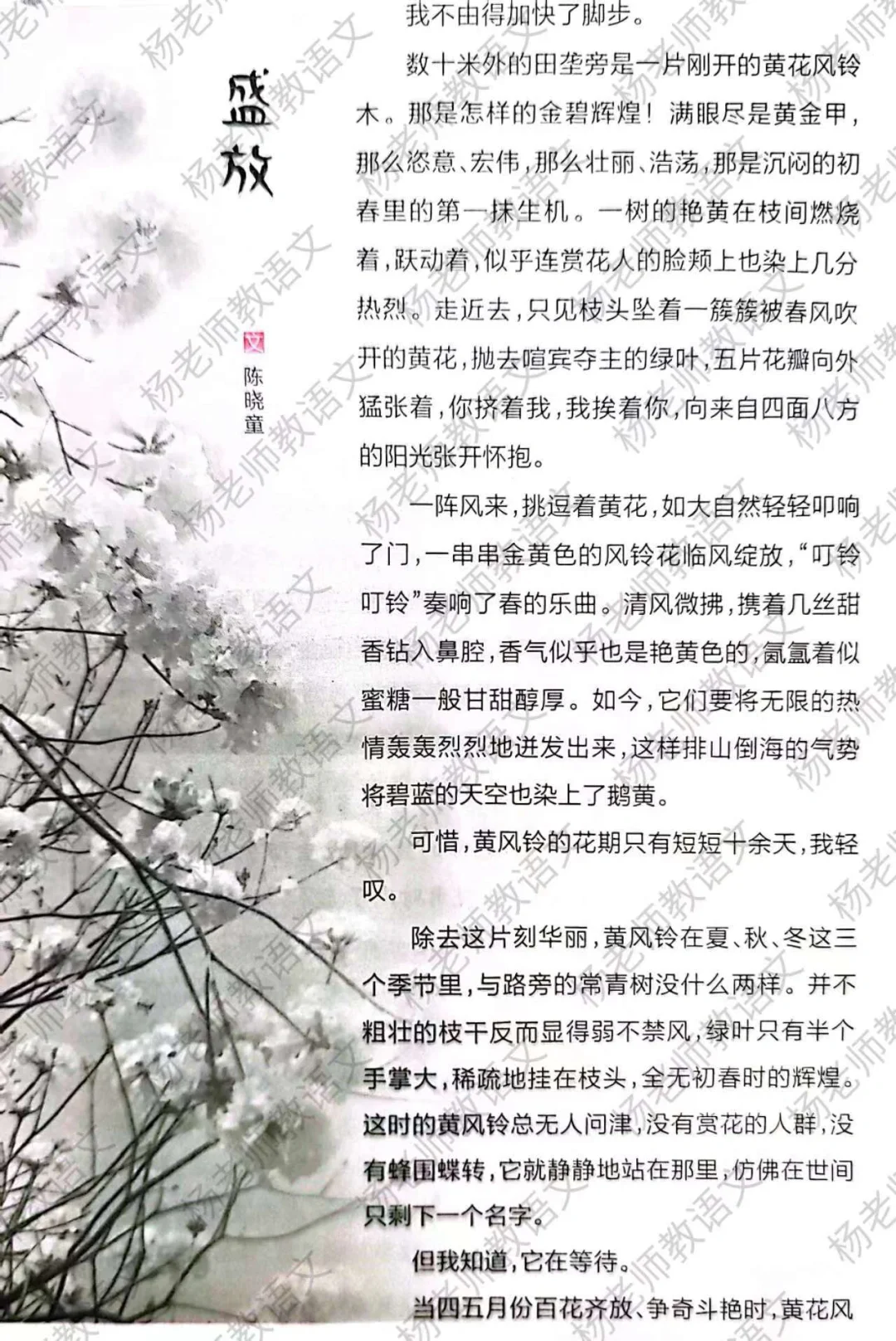 高分作文素材：绽放+等待+景致+遇见