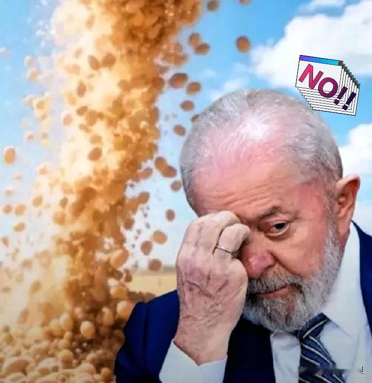 最新消息称！
巴西大豆赚翻了！

巴西大豆价格一夜之间涨疯了，650美元/吨。原