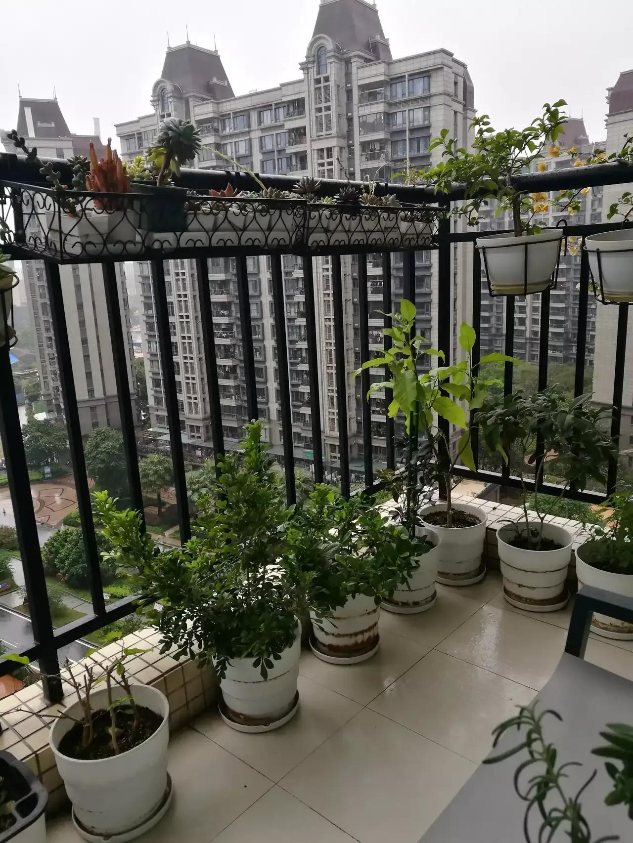 公租房不是穷人才能住的房子吗？看你住的房子，该有的都有，不像穷人呀，你怎么就能申