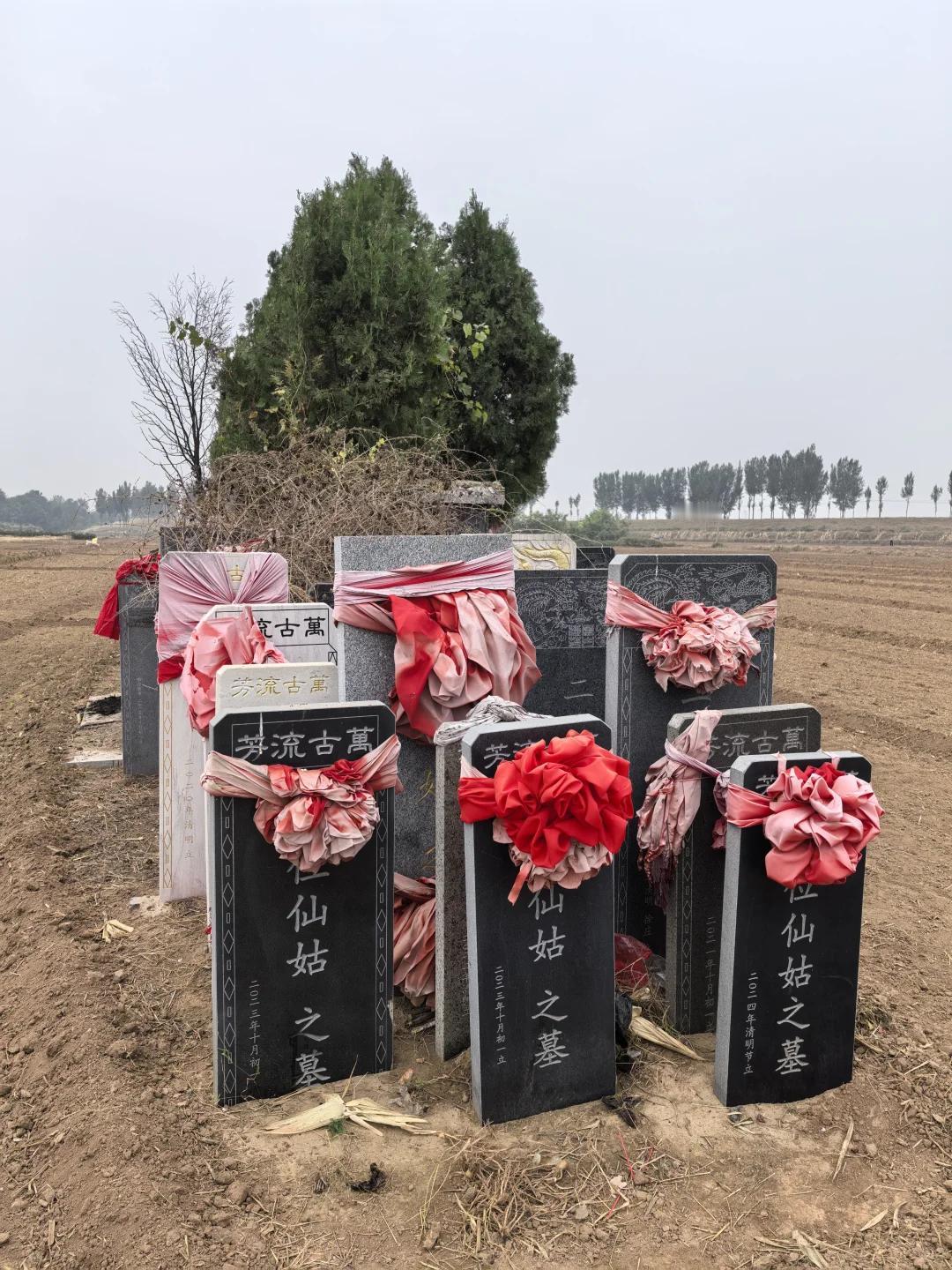 有没有谁能解惑？为什么会立这么多碑？而且上面还是写着二位“仙女”，或者是“仙姑”