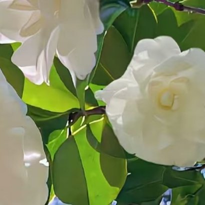 阳光信用🌻 阳光信用 🌿每日一善 梦有多燃，就能飞得多远。时时有所创造、事事