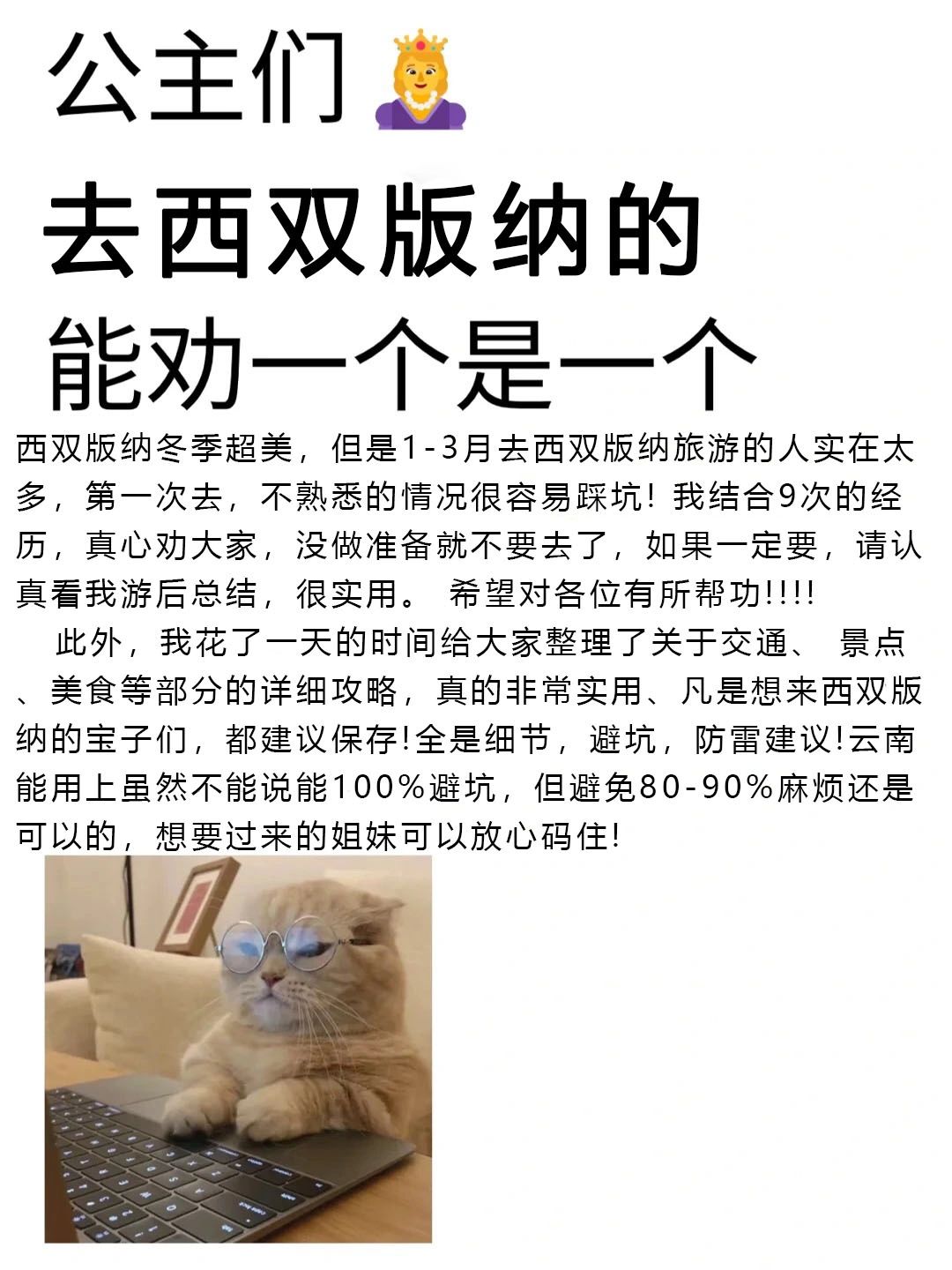写给1-2月想来版纳旅游的姐妹们👭超全攻略