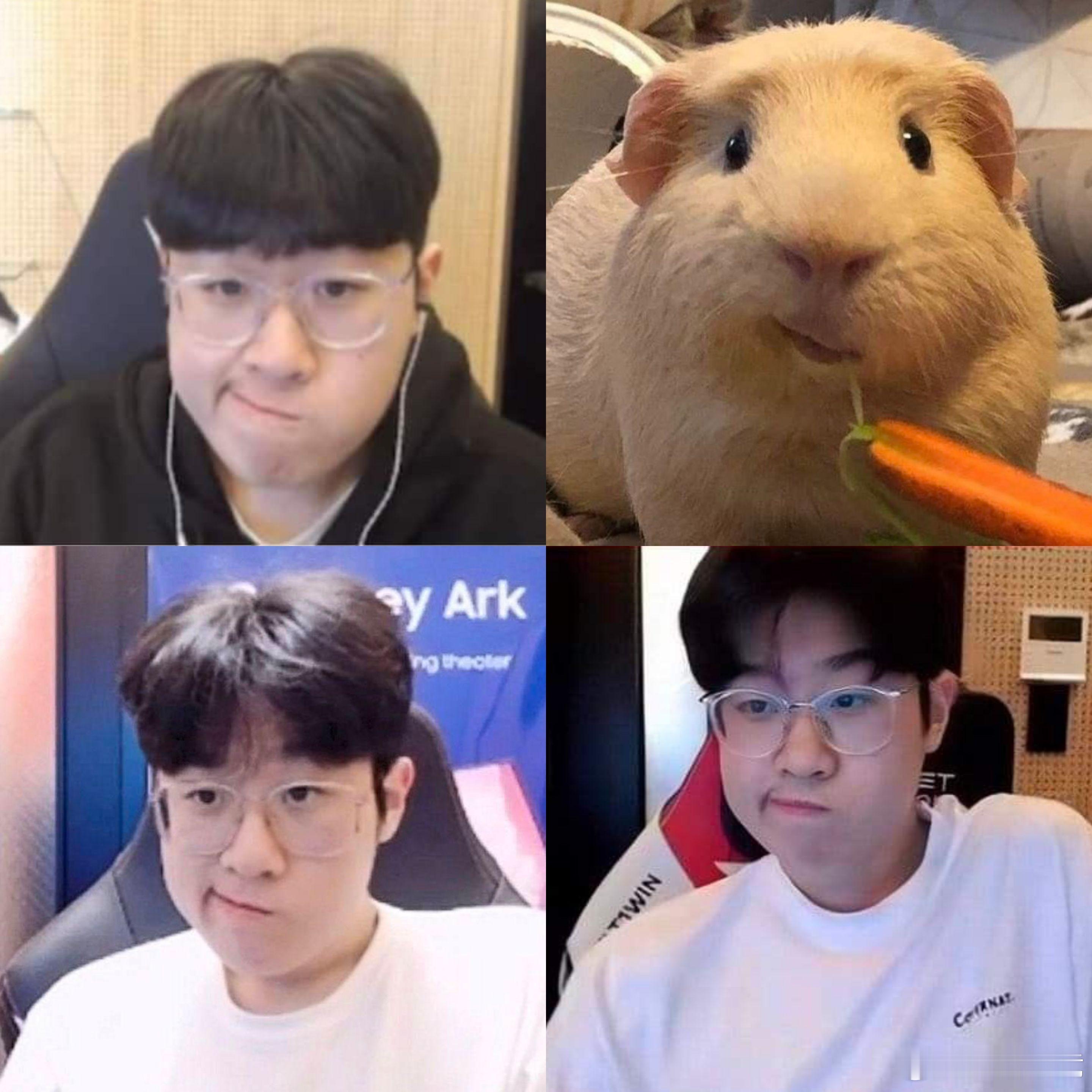 请问图中有几只小猪cr.zgloongi2026lck2026lck杯英雄联盟