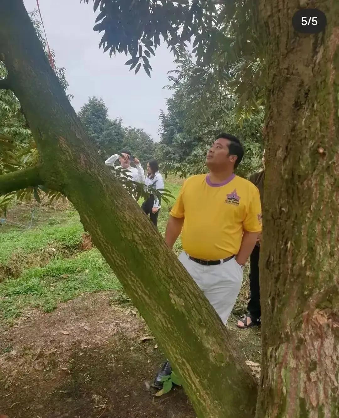 泰国二王子，依靠着大树在想啥呢？莫不是在做着他的春秋大梦[偷笑]