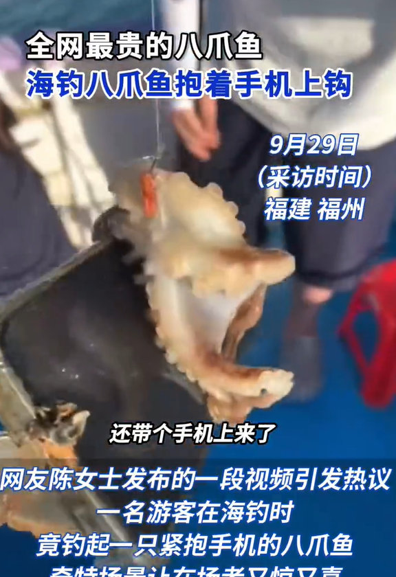 【八爪鱼自带赎金被游客钓起】 男子钓起八爪鱼怀抱手机 9月29日（采访时间），福