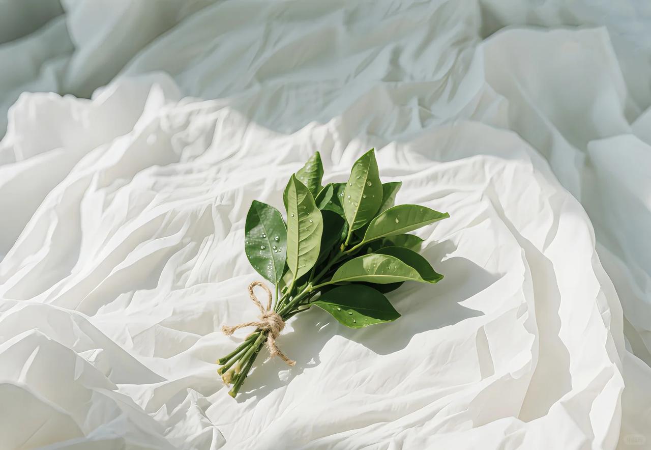 最近超火的柚子叶，去除霉运，可做壁纸，可做头像。