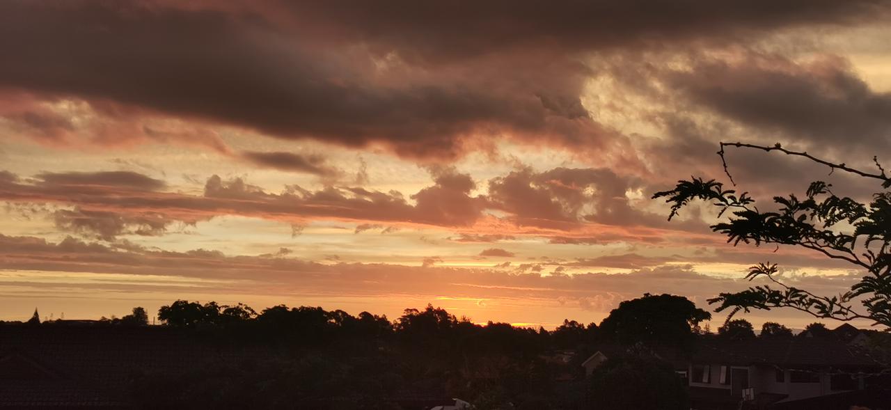 圣诞晚霞，此时此刻，奥克兰东区，属于他们的圣诞节开始了。