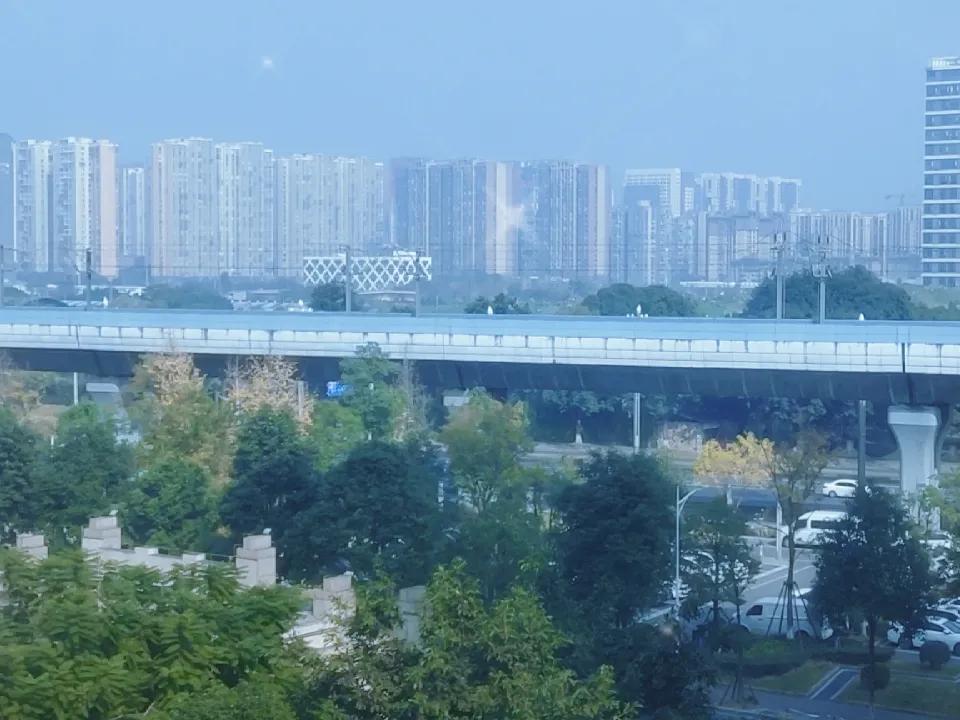 晒图笔记大赛窗外秋尽冬欲来。