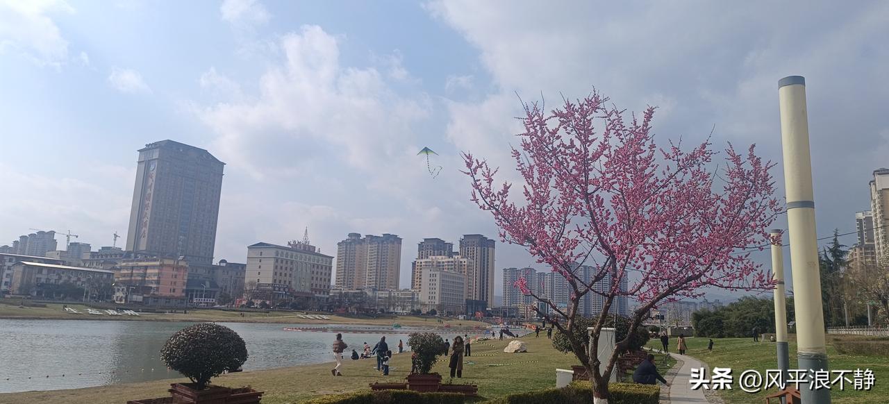 一树红花赵碧海，红梅迎春春自来!