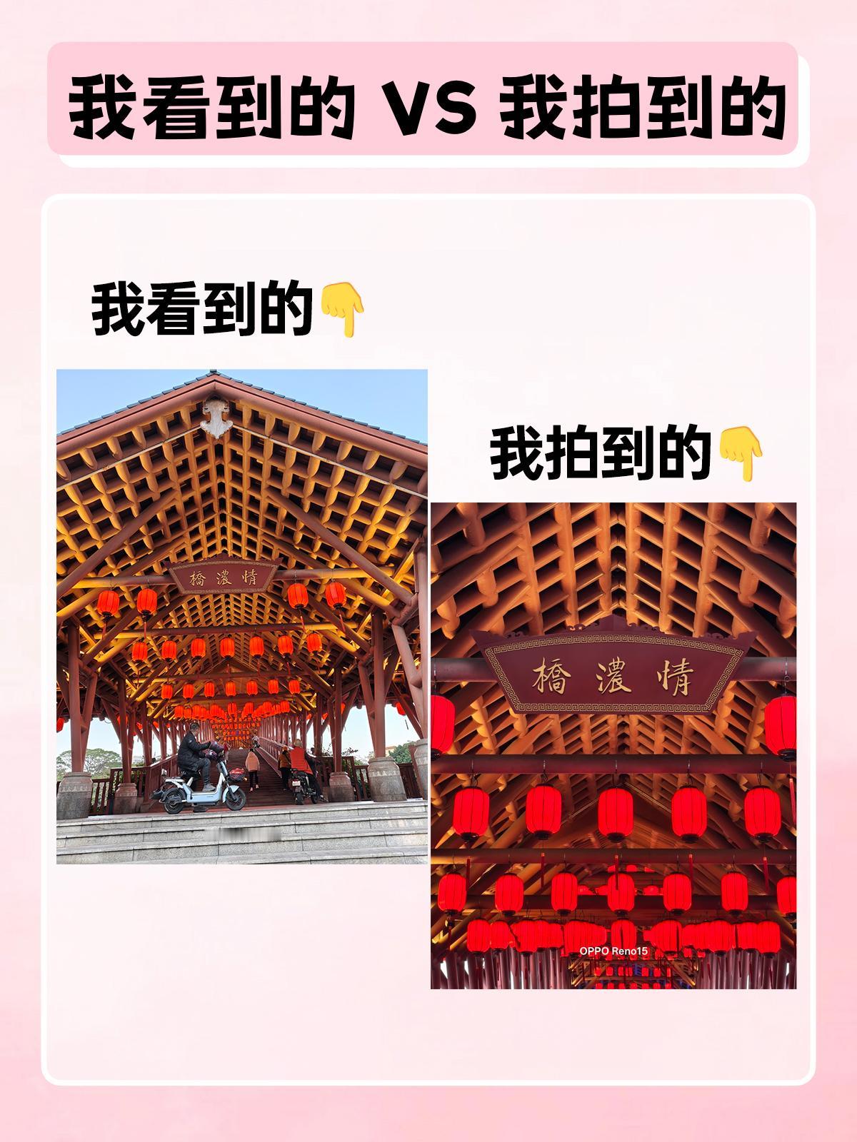 我看到的🆚我拍的，新手机7天狂拍n张
📱OPPO Reno15到手，用了7天