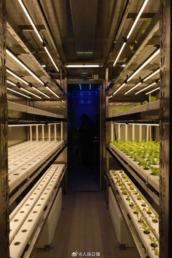 【告诉雪龙号，#大洋极地也能种菜了#】长期被“吃菜难”问题困扰的远洋及深海、极地