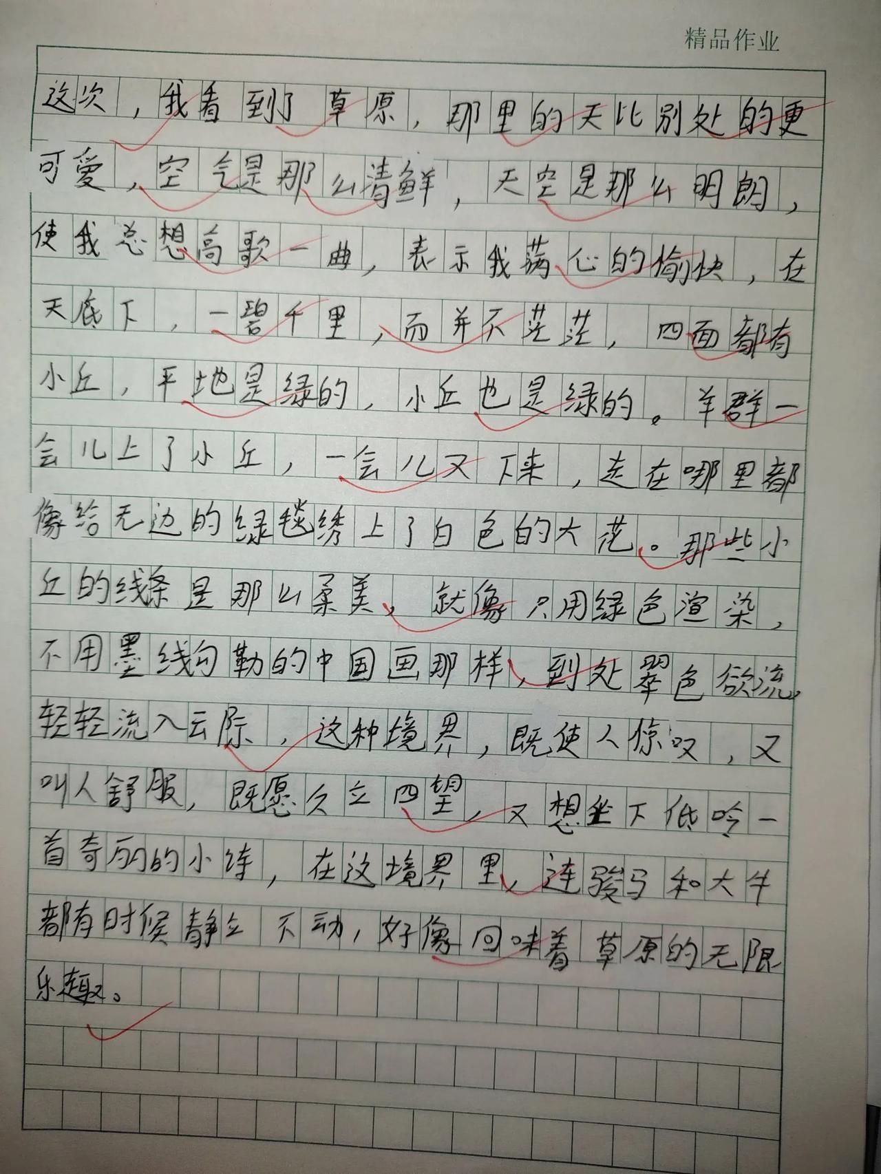 我只要一发我们的学习内容，后面就有负能量家长在这里强势的自以为是，什么字写的不好