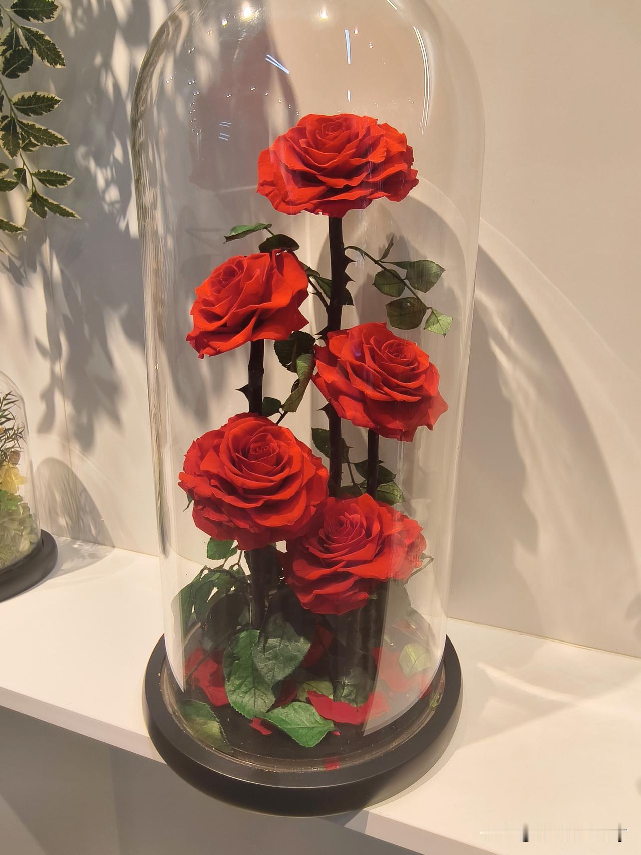 【斗南市场的“永生花”如何成花中贵族？】斗南花市交易的产品那叫一个丰富，主要是以