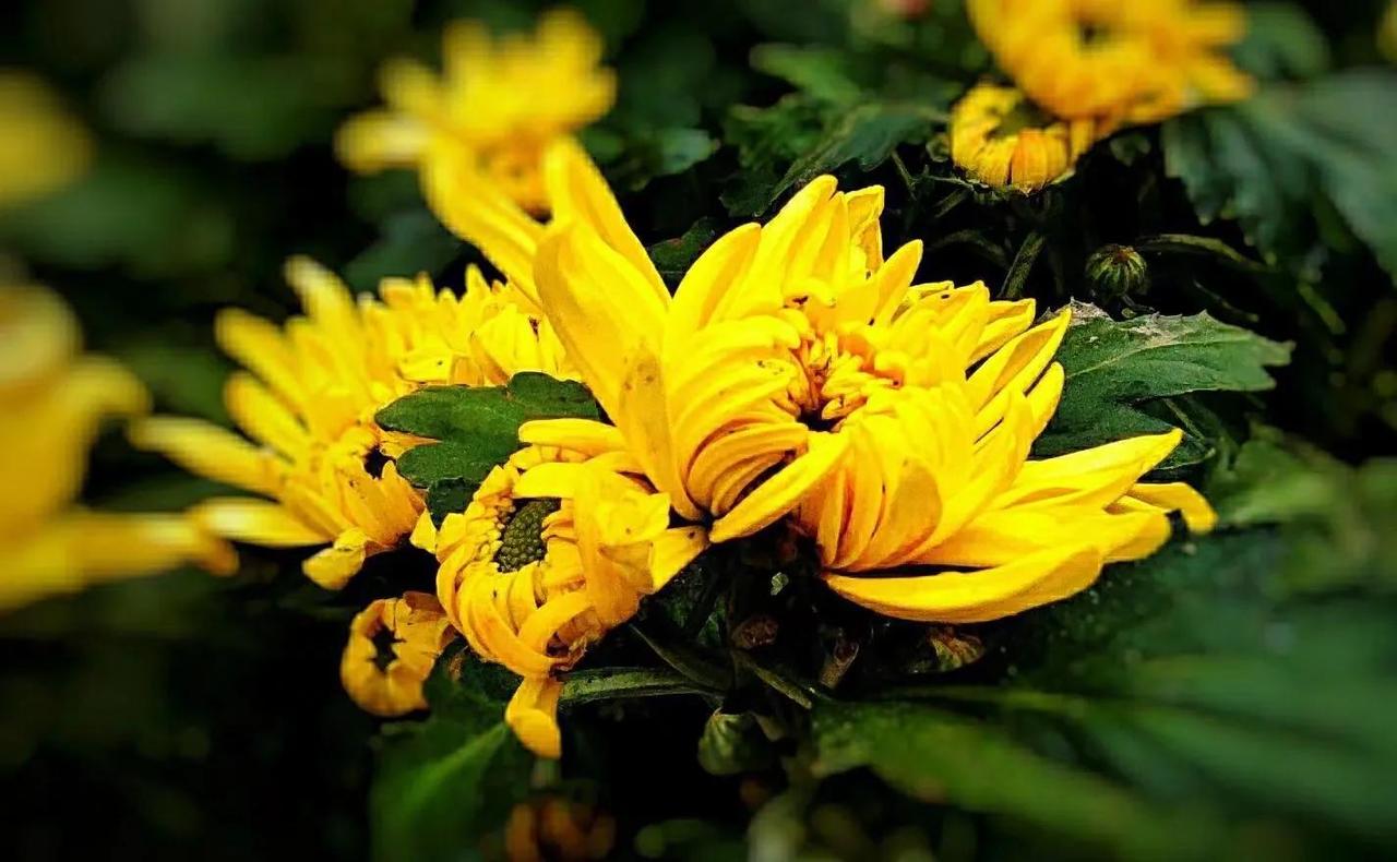 《头条的时光刻度》
笨拙的笔在纸页上磨出茧
像蜗牛驮着壳攀爬陡坡
每个深夜的台灯