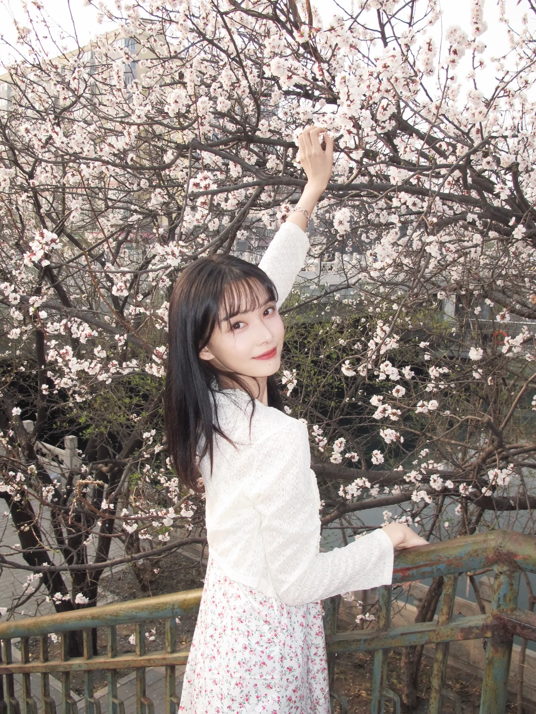 不在小韩在北京 🌸