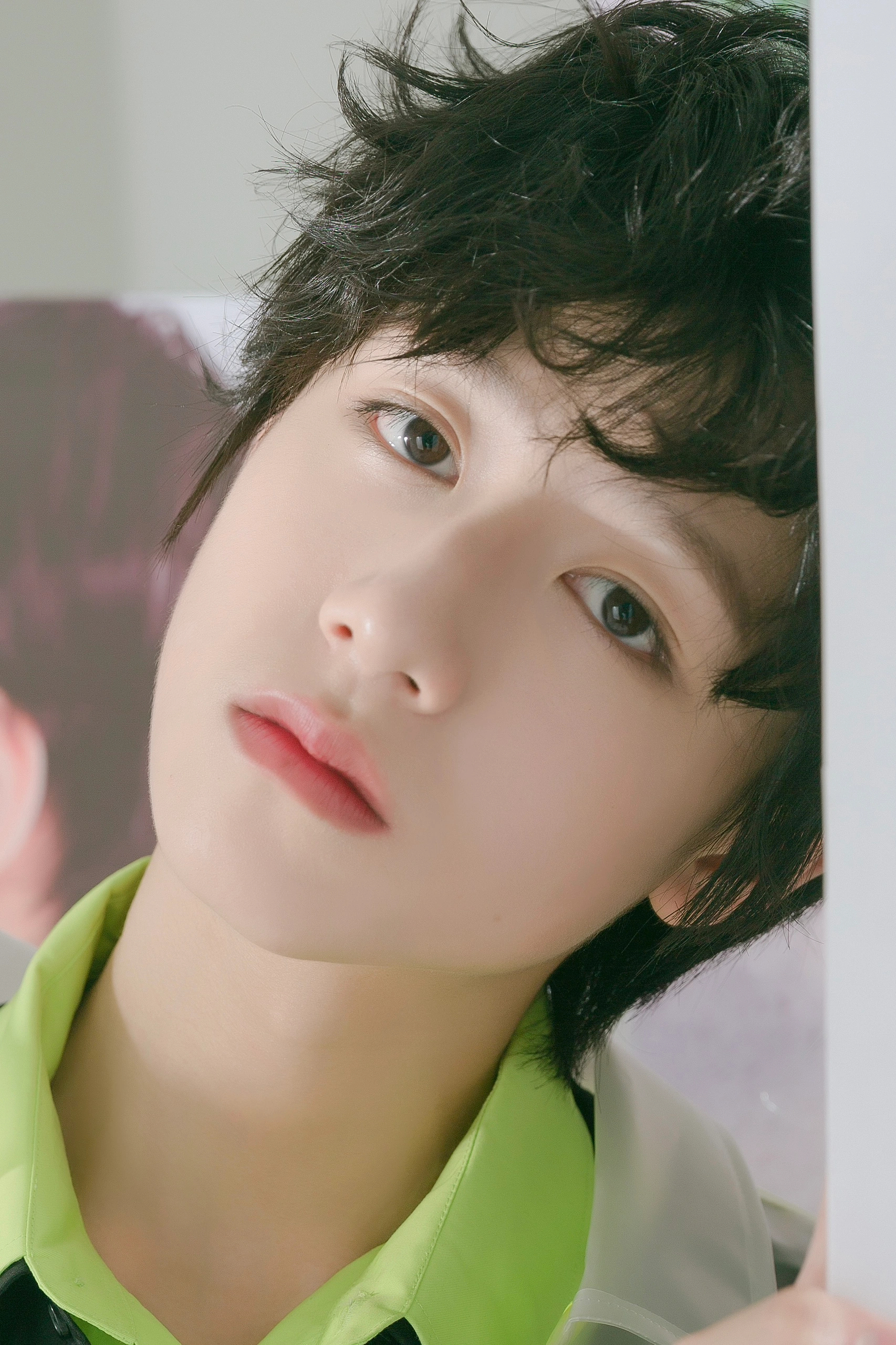 没记录过早期小卷毛～  专栏 · 芝心～