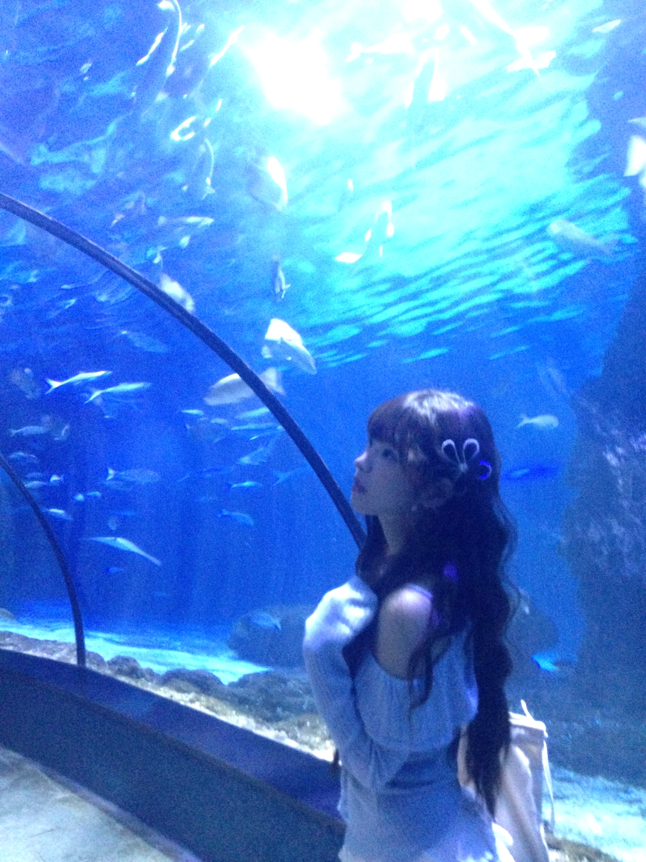 🐟 ​​​