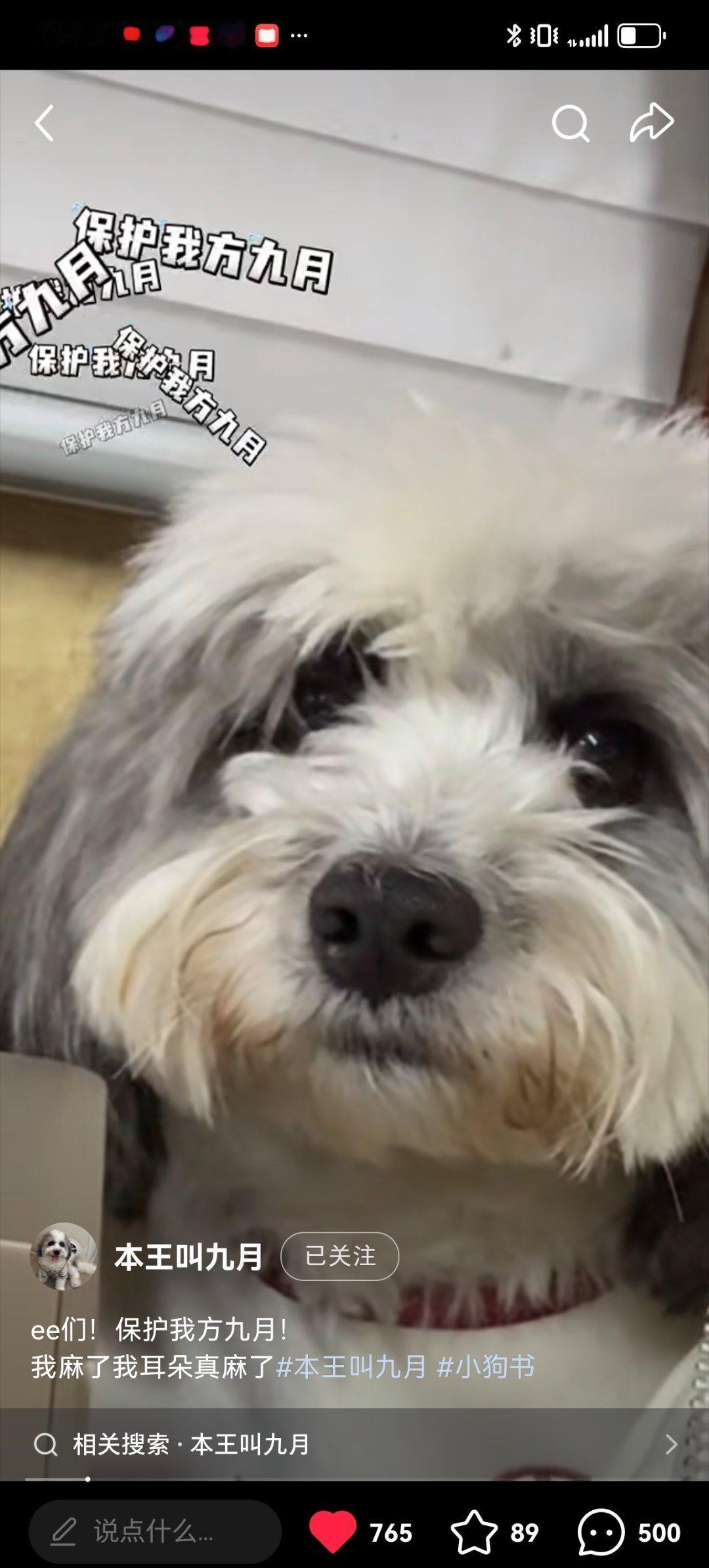 我笑死了九月:我爸吹的很好听 我可以溺爱 