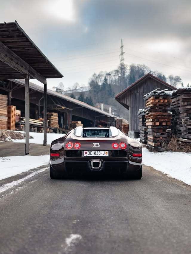 冬季旅行❄️❄️❄️🤎🤎🤎巧克力色布加迪肥龙🤎🤎🤎 