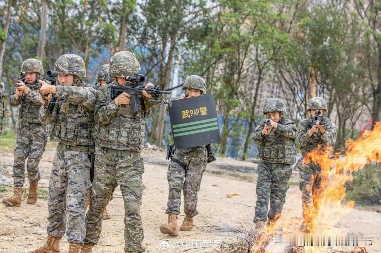 [呲牙] 191型突击步枪与 95-1型混装。现在光瞄普及了，95-1型加装光瞄