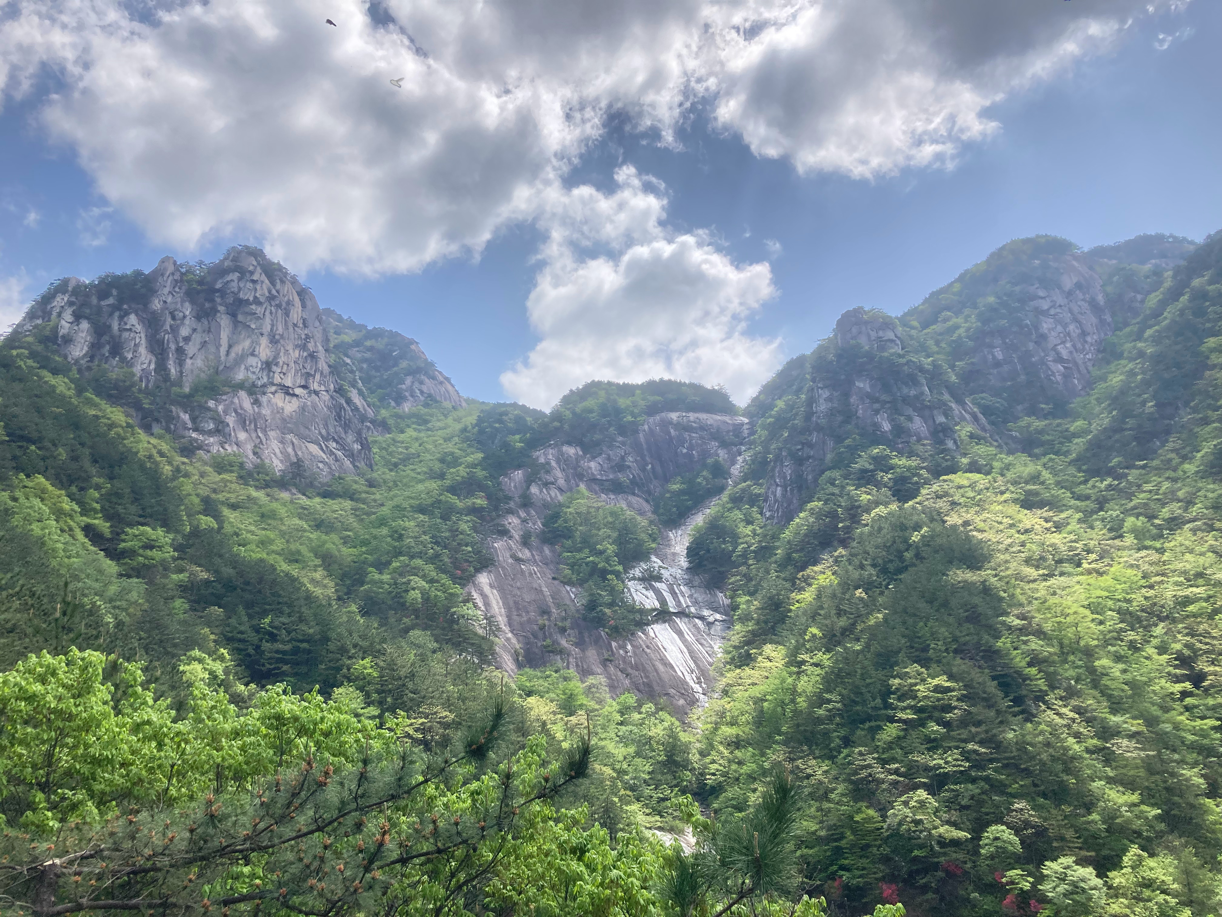 大别山深处的天堂寨，地跨湖北罗田、安徽金寨，自南宋末年起，历来是动乱时代反政府武