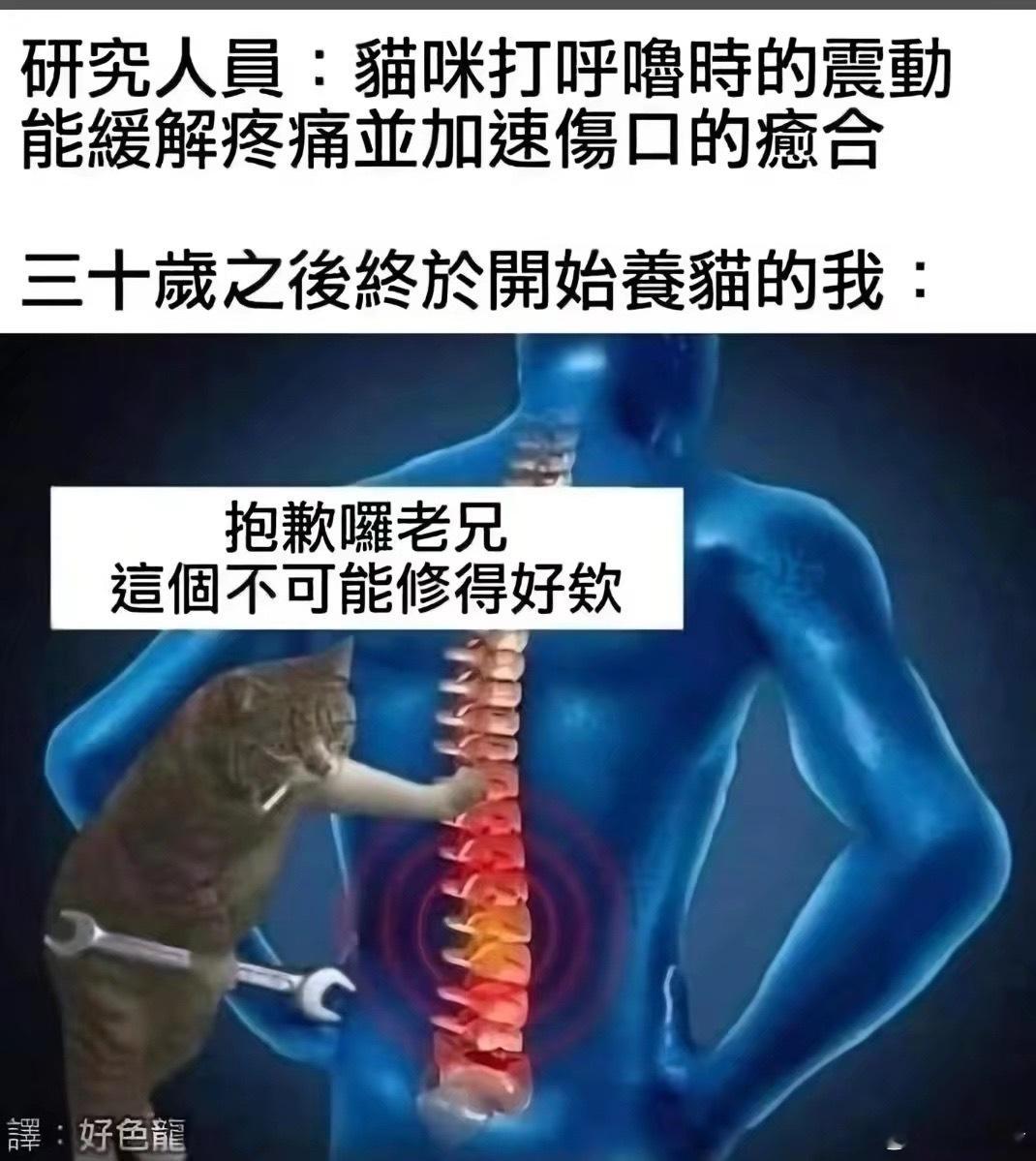 可惜哈哈哈哈 