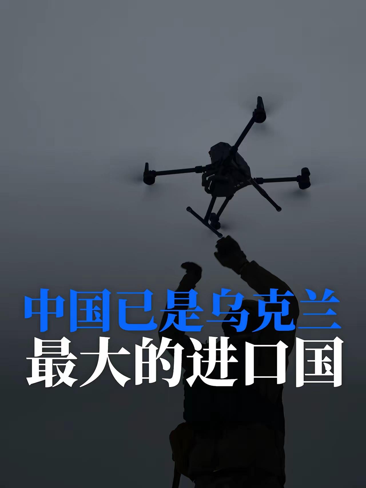 中国已是乌克兰最大的单一进口国。
作为一个被战争破坏的国家，乌克兰需要大量价格合