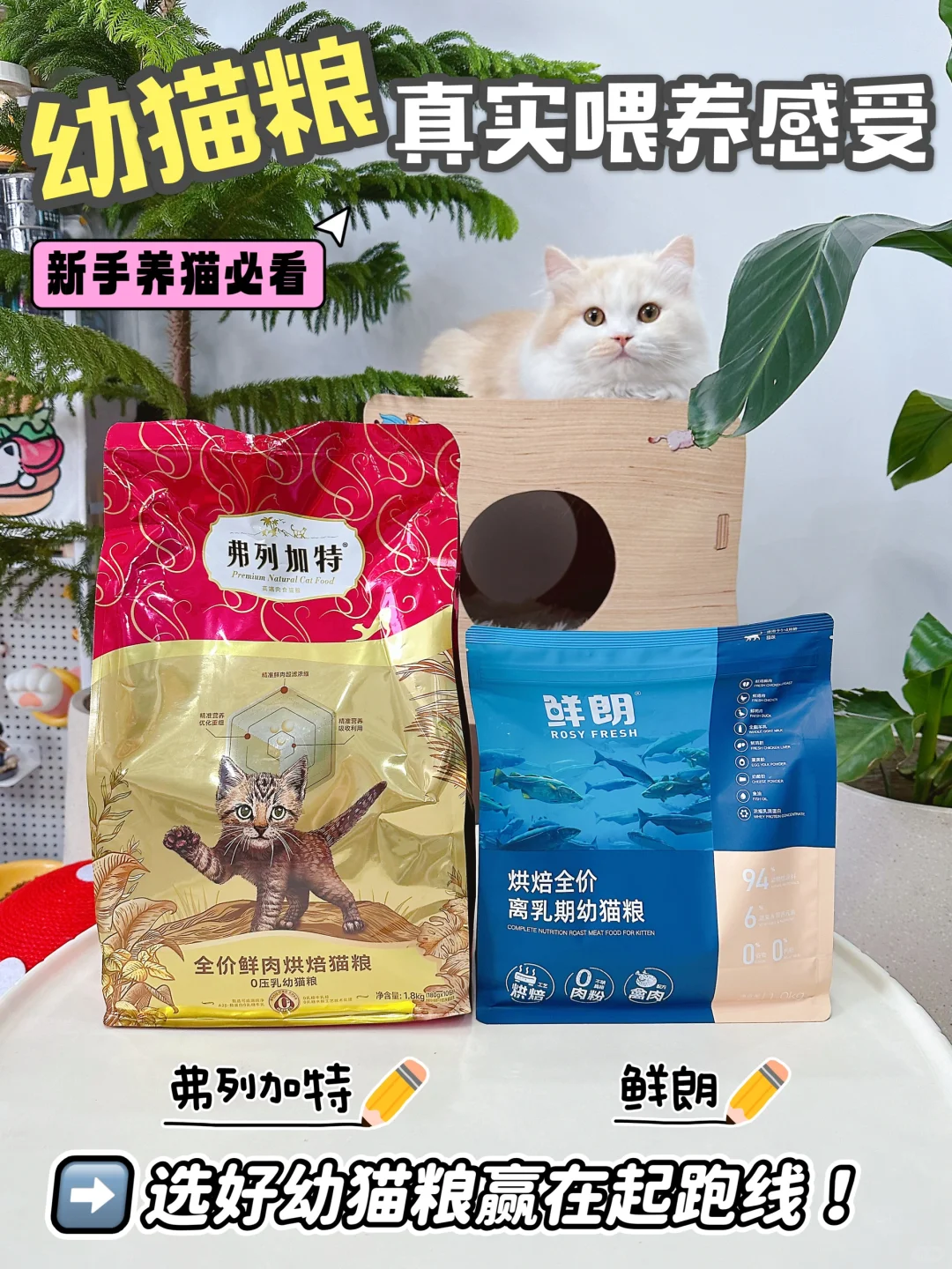 猫粮真实喂养感受：鲜朗&弗列加特