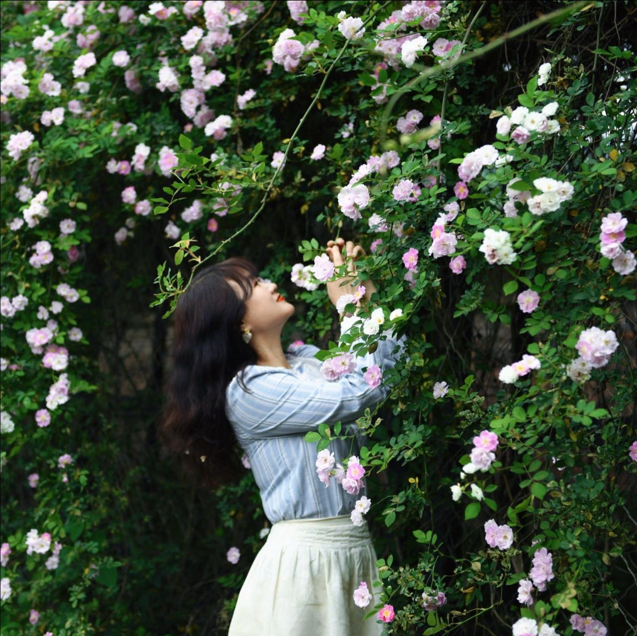 赏花观景：她在花中笑
