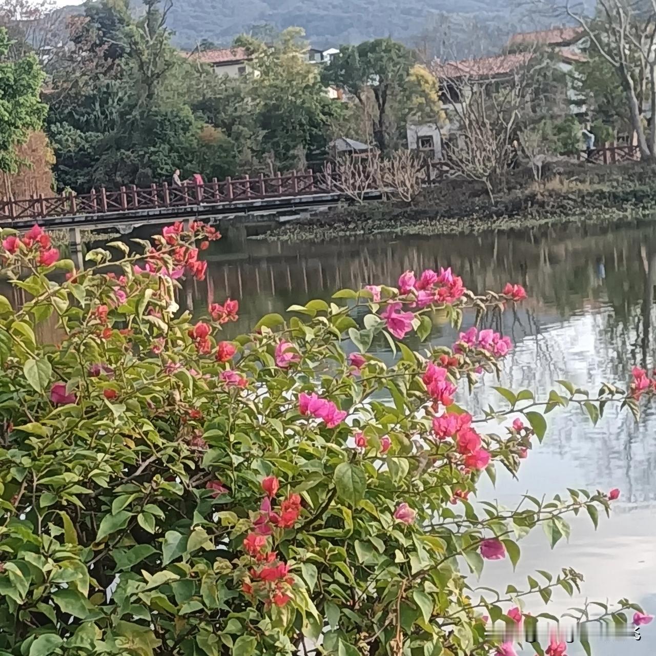 过新年，出来游山玩水，与美景相伴，忘记一切烦恼！
（图片/自拍）
天南地北大拜年