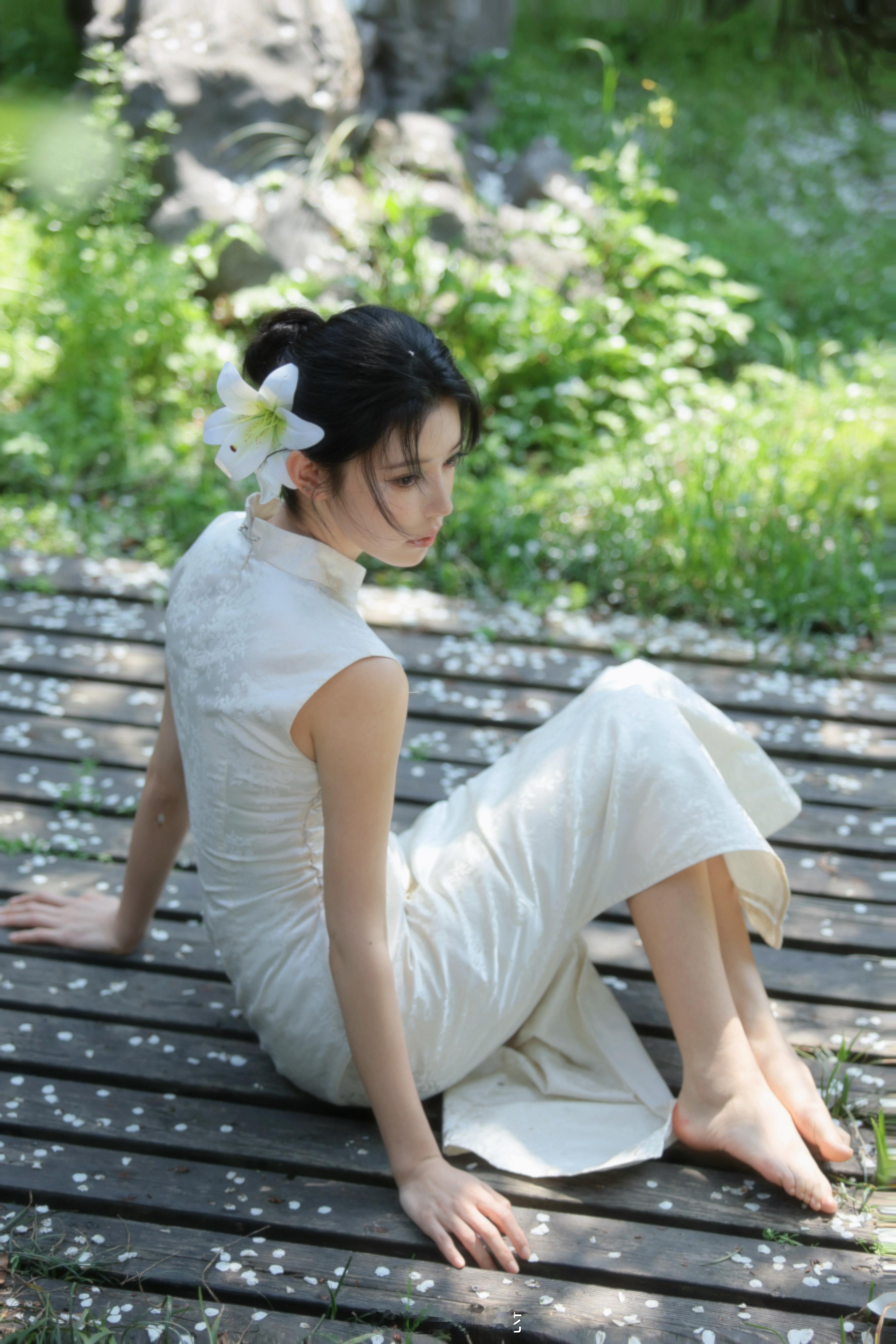 百合花 