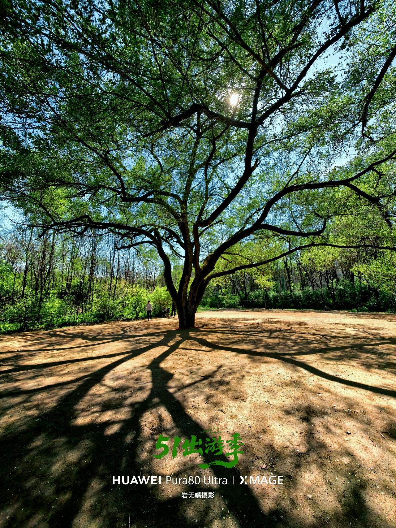 记住春天所有的好。