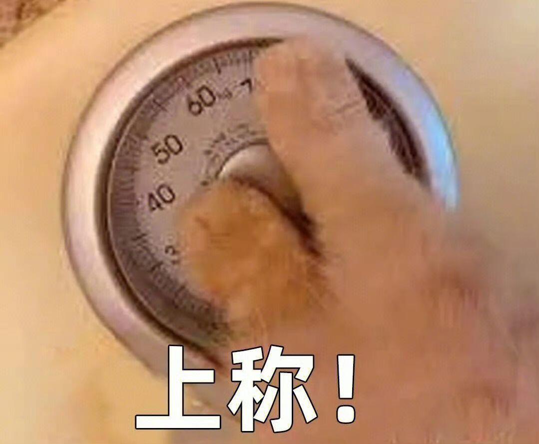 搞笑幽默  猫猫‖演你日常状态表情包|||猫咪表情包  