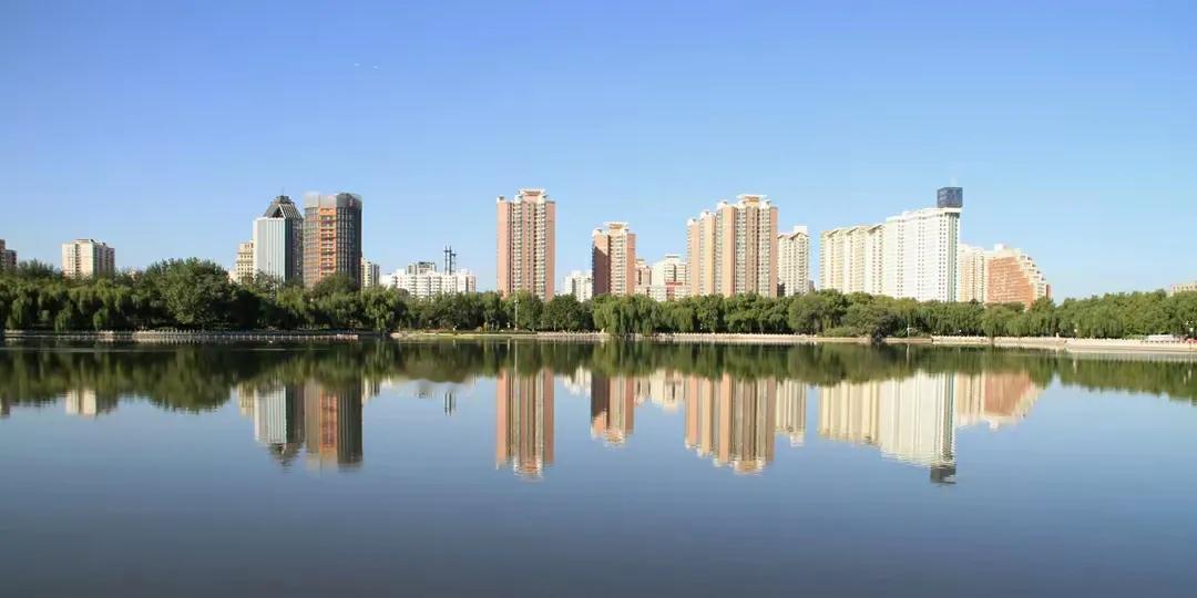 城市森林中的莲花池
环池走了一圈，发现池中映照着园外鳞次栉比的高楼，结合在一起，