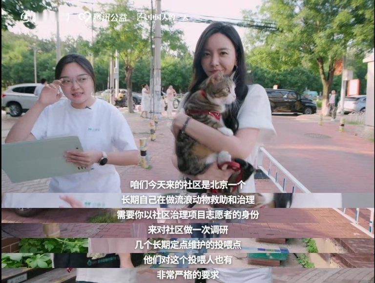 于文文呼吁不要残忍抛弃宠物志愿者称60%流浪动物熬不过北方冬天 看了于文文发的那