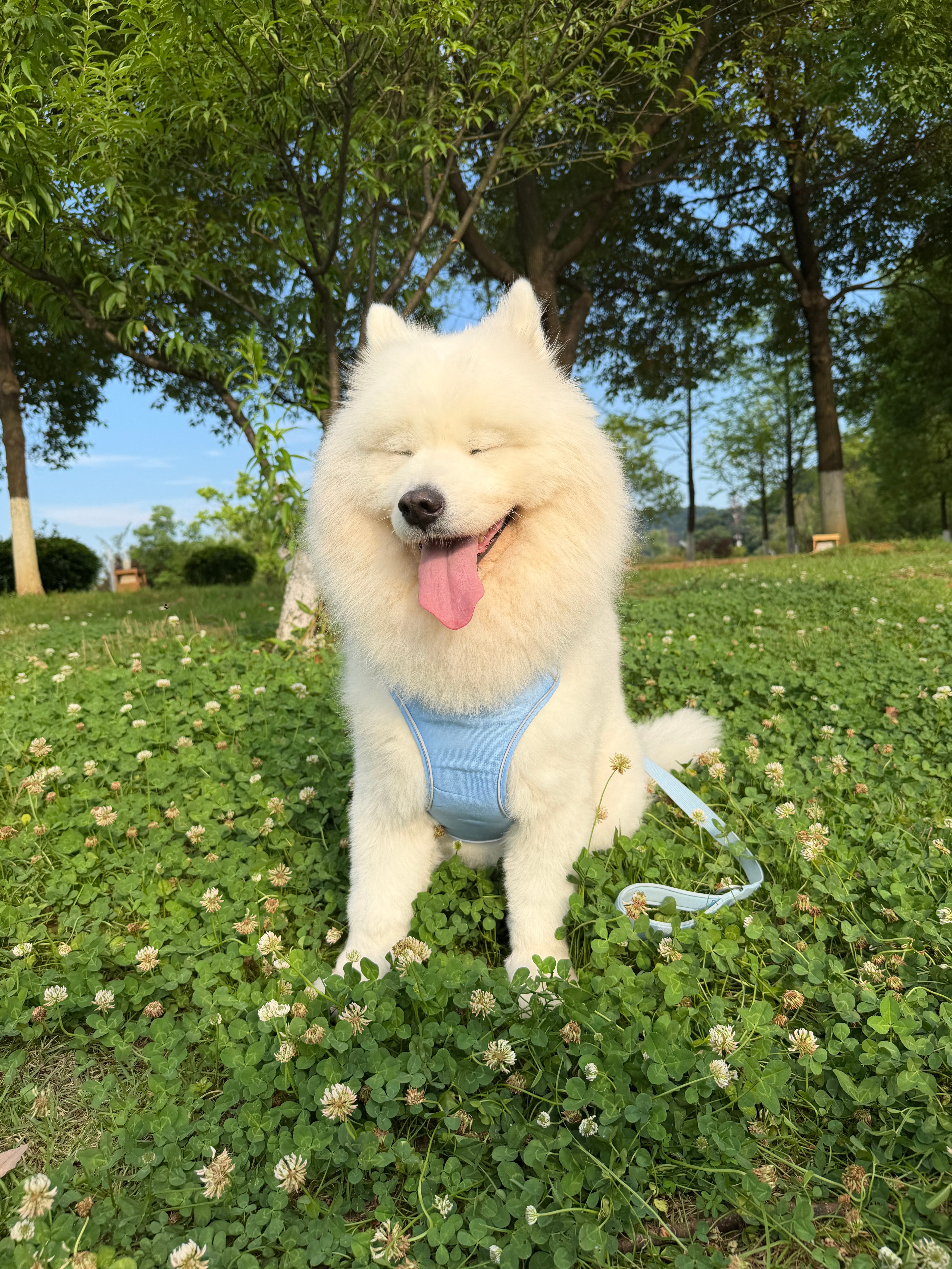 我儿聪慧。 