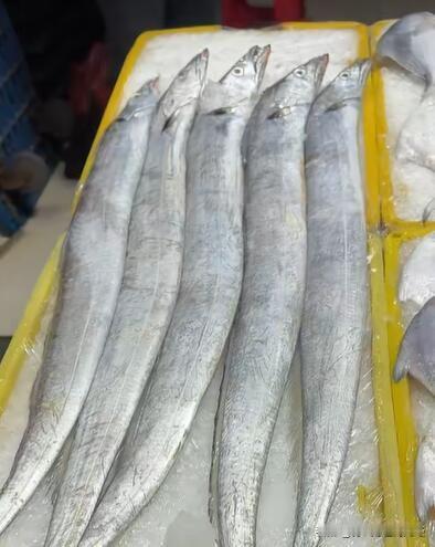 每逢过年海鲜都贵，但今年南通市面上海鲜价格比往年又贵不少，甚至有点让人咋舌。“船