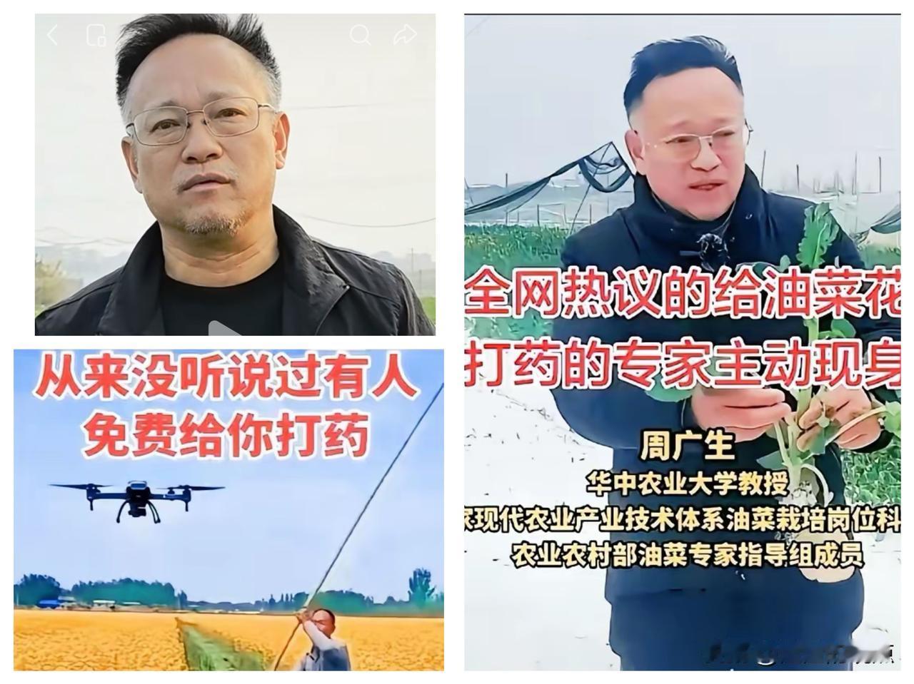 离谱建议刷屏！
给油菜花大面积打药，背后藏着啥猫腻？

真是被那个建议“盛花期猛